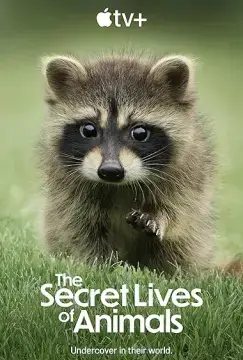 Тайная жизнь животных онлайн